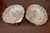 English Pair of Sterling Silver Shell Dishes For Sale - Image 3 of 5