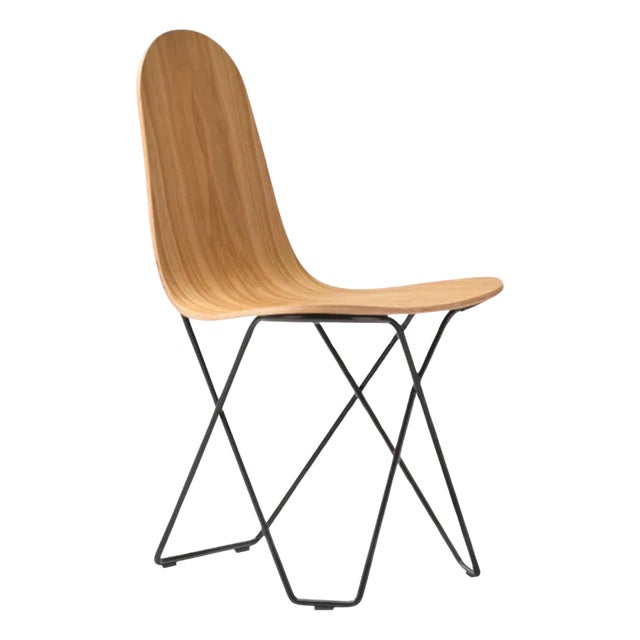 Cactus Natural Oak Dining Chair by Cuero Design For Sale