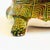 Green Mid Century Hand Made Ceramic Turtle - Signed and Dated 1977 For Sale - Image 8 of 14