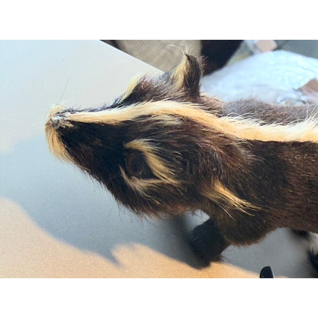 Black 9 Inch Skunk, Hand Crafted , Fur, Figurine Vintage For Sale - Image 8 of 8