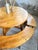 Round Table Set and Rounded Benches, 1950s, Set of 5 For Sale - Image 10 of 18