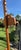 Wood 1970s Witco Carved Wood Artist's Easel For Sale - Image 7 of 9