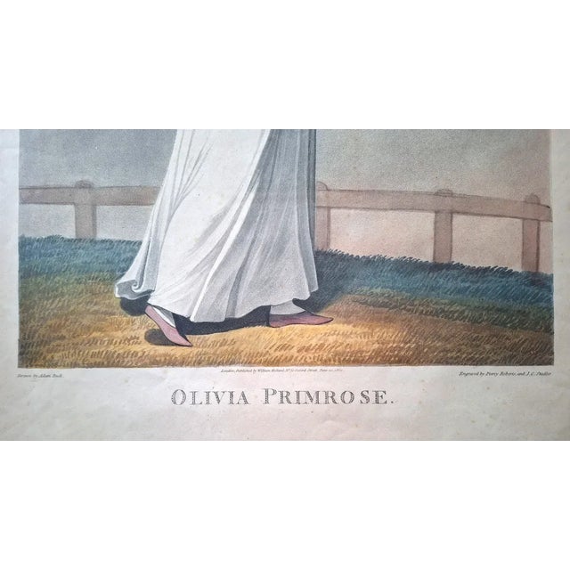 Adam Buck, Olivia Primrose, Copper Engraving For Sale - Image 4 of 6