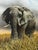 Peter Jepson (British, b.1936) African Bull Elephant at Letaba, Kruger National Park | Original Wildlife Painting c.1999...