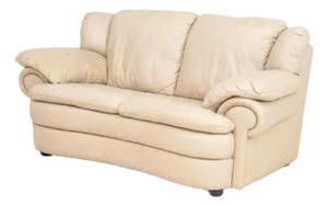 Modern Beige Leather Upholstered 2-Seat Sofa