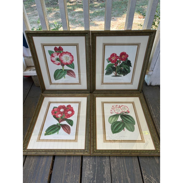 Vibrant and richly colored set of four antique chromolithographs in shades of red, pink and green. These were done circa...