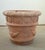 19th Century Pair of Terracotta Planters / Jardinieres For Sale - Image 6 of 9