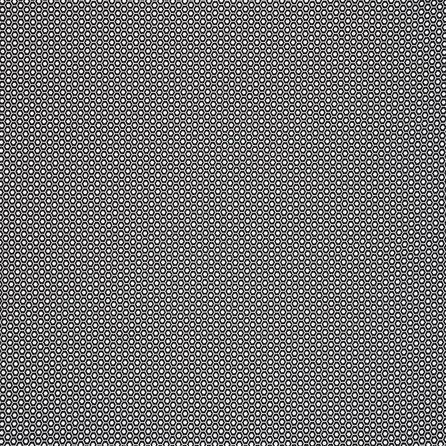 Sample - Schumacher X Studio Bon Queen B Ii Fabric in Black For Sale