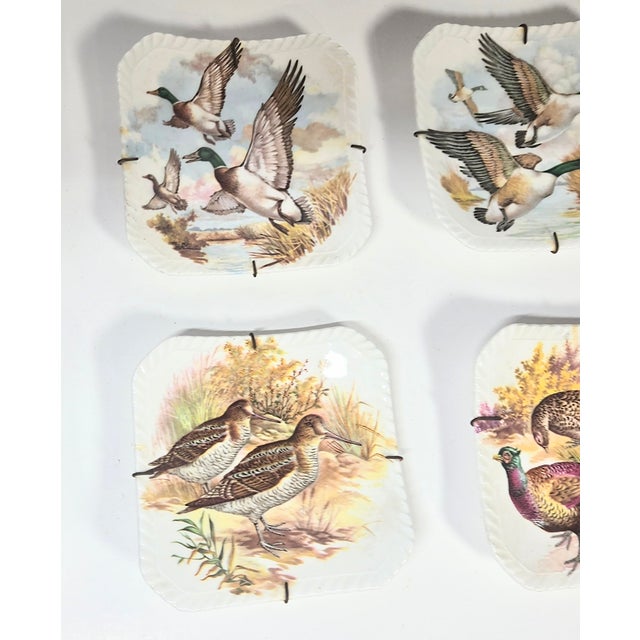 Ceramic Illustrated Game Bird Plates - Set of Six For Sale - Image 7 of 16