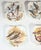 Ceramic Illustrated Game Bird Plates - Set of Six For Sale - Image 7 of 16
