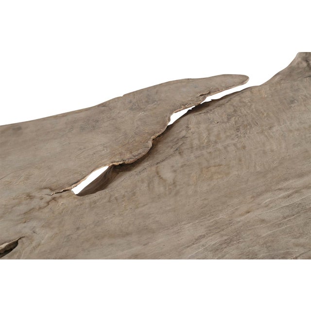 Bleached Organic Form Lychee Wood Slab Top on Patinated Steel Base For Sale - Image 9 of 12