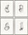 Study I-IV Set by Susan Hable For Sale In Tampa - Image 6 of 6