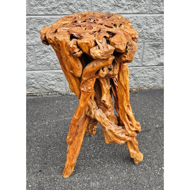 2000 - 2009 Varnished Driftwood Root Natural Organic Wood Pedestal Side End Table Stand For Sale - Image 5 of 7
