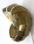 Mid-Century Modern Brass Sconce from Natilius, Germany, 1960s For Sale - Image 18 of 18