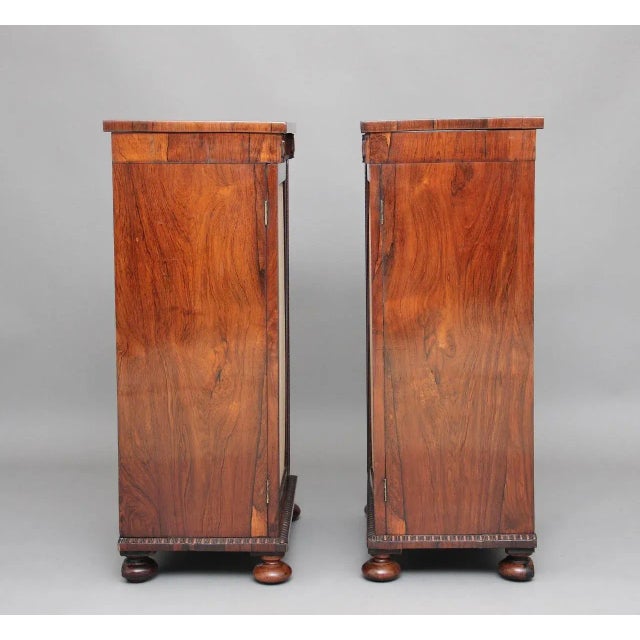 Rosewood Pedestal Cabinets, 1830s, Set of 2 For Sale - Image 5 of 14
