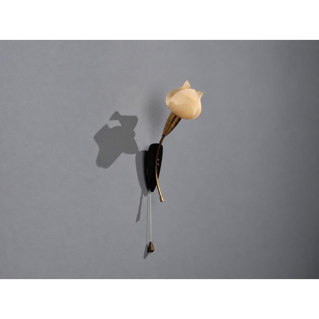 1950s Scandinavian Modern, Tulip Wall Sconce, Brass, Plastic, Sweden, 1950s For Sale - Image 5 of 12