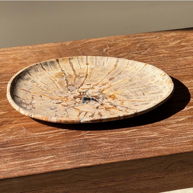 Small Trinket Tray or Dish in Beige Petrified Wood with Small Black Heart-Shaped Circles D21-25 -3314 For Sale - Image 13 of 18