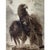 Curt Meyer-Eberhardt (1895–1977) Portrait of an Eagle Etching with Aquatint, c. 1930s A striking and exceptionally...
