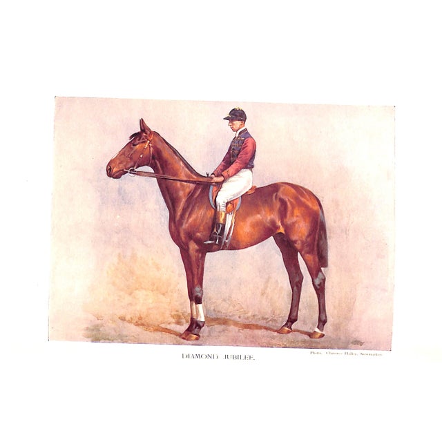 1900 - 1909 "The Racing World and Its Inhabitants" 1904 Watson, Alfred E. T. For Sale - Image 5 of 12