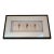 Large Black Framed Shell Shadow Box Picture From Barclay Butera For Sale