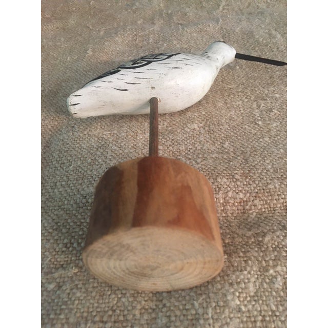 Vintage Small Long-Billed Shore Bird For Sale - Image 4 of 7