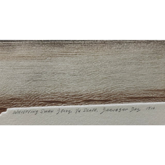 Arthur Nevin (American, B. 1929) "Whistling Swan", Decoy, 1/4 Scale, Barnegat Bay, 1910 For Sale In Little Rock - Image 6 of 18