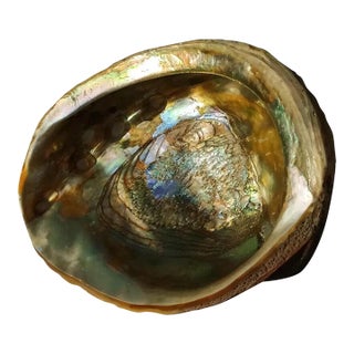 1950s Large Boho Coastal Natural Iridescent Abalone Shell Bowl on Feet For Sale