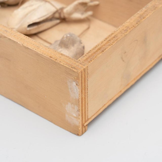 Cabinet of Curiosities Drawer Sculptural Artwork, 1950s For Sale - Image 14 of 15