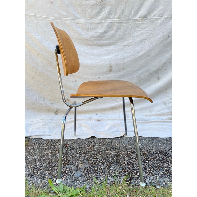 Mid 20th Century Attributed Charles & Ray Eames for Herman Miller DCM Dining Chair, 1950s–1960s, Molded Birch Plywood For Sale - Image 5 of 12