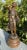 Hippolyte Moreau “Le Baiser” by Moreau, French Sculptural Statue, 19th Century For Sale - Image 4 of 11
