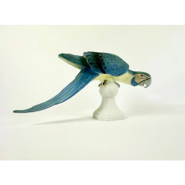 Hand Painted Parrot Figurine from Royal Dux, 1960s For Sale - Image 9 of 14