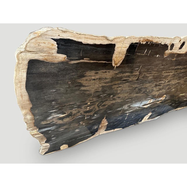 Contemporary Andrianna Shamaris Live Edge Single Slab HighQuality Petrified Wood Dining Table For Sale - Image 3 of 18