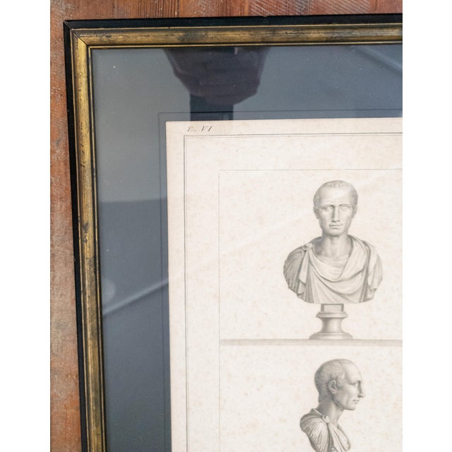 18th Century Italian Neo-Classical Engraving Print of Julius Caesar Bust by Giovanni Folo For Sale - Image 4 of 18