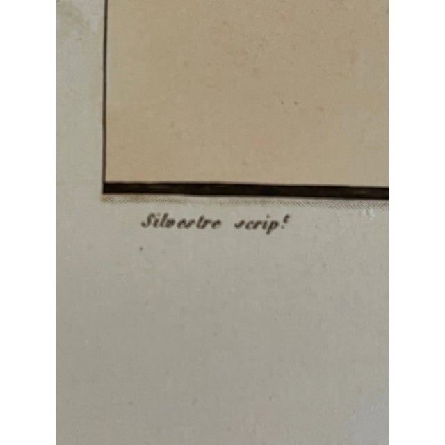 16th Century Silvestre Universal Palaeography Plate 148 - 11th C. Lombardic Script For Sale - Image 4 of 4