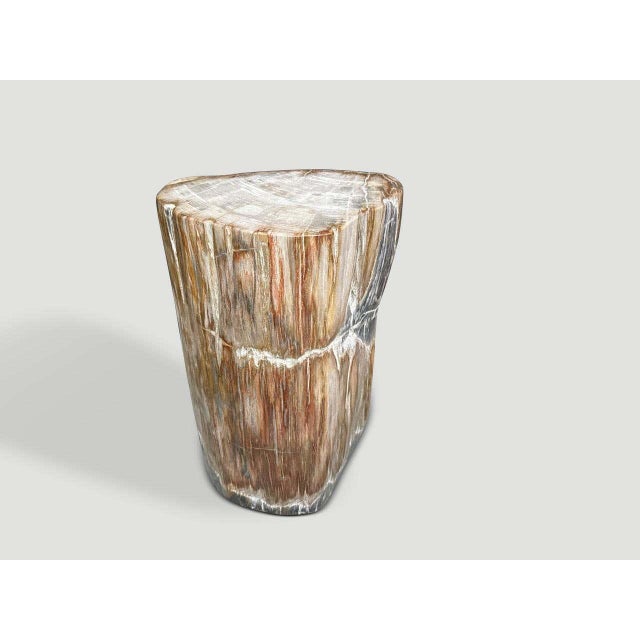 Andrianna Shamaris Modern Organic Petrified Wood Side Table For Sale - Image 4 of 5