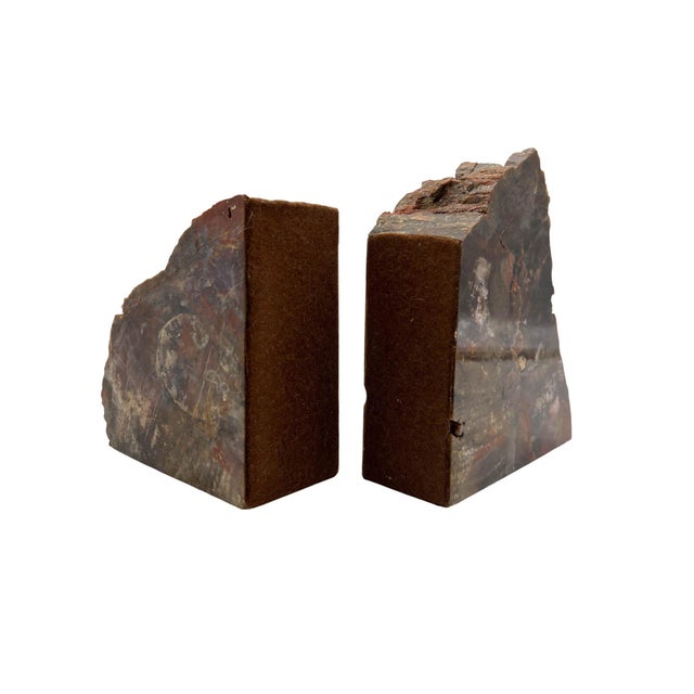 These distinctive bookends are carved from authentic Arizona petrified wood, a remarkable natural material formed when...