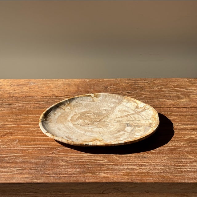 Small Oval Beige Petrified Wood Trinket Dish or Tray with Speckled Rings For Sale - Image 5 of 18