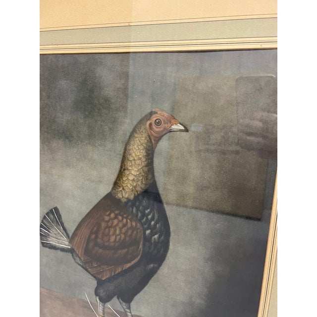 Antique Pair of English Game Bird Sporting Hand Colored Engravings in Ebonized Frames For Sale - Image 15 of 18