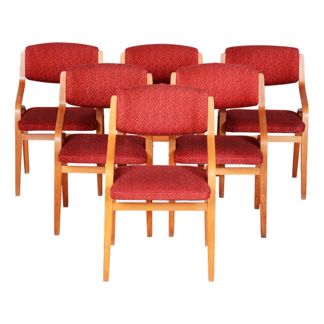 Mid-Century Czech Chairs in Maple attributed to Ludvik Volak for Drevopodnik Holesov, 1960s, Set of 6 For Sale