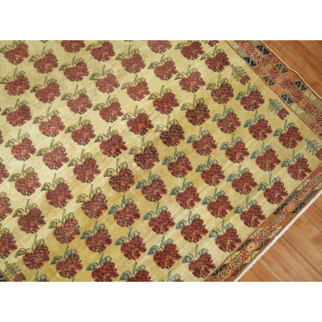Mid-Century Modern Antique Zabihi Collection Rare Caucasian Kuba Square Rug - 4'10" x 4'10" For Sale - Image 3 of 7