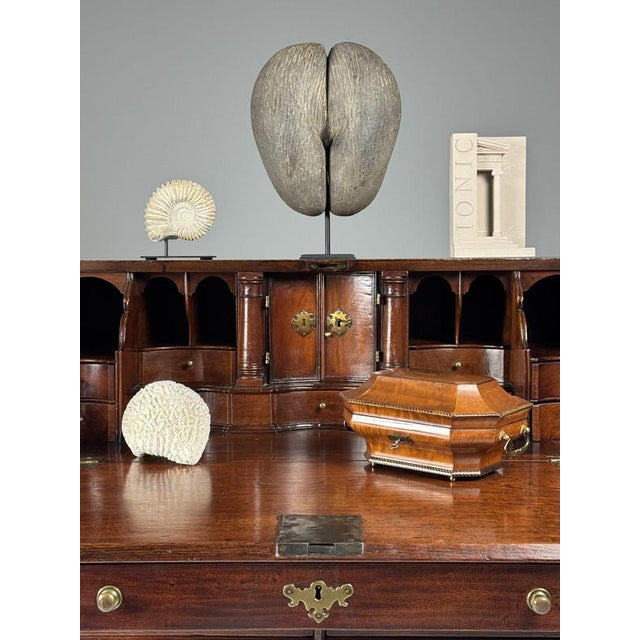 English Secretary in Teak, 18th Century For Sale - Image 3 of 18