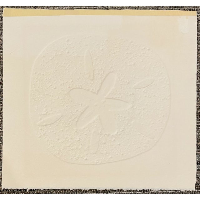 1970s Sand Dollar Embossed Etching by Line For Sale - Image 6 of 6
