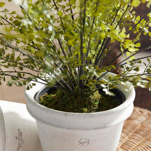 Early 21st Century Maidenhair Drop-In 30" For Sale - Image 5 of 7
