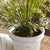 Early 21st Century Maidenhair Drop-In 30" For Sale - Image 5 of 7