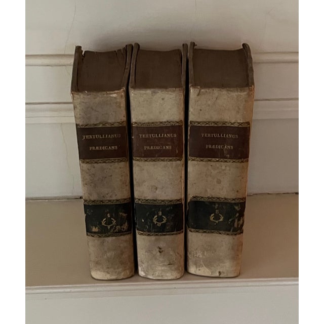 Animal Skin Fine Leather Bindings - The Raccolata - Books in Vellum Published Naples, Italy Circa 1841 - 3 Volumes For Sale - Image 7 of 18