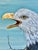 American Bald Eagle Framed Animal Art, Oil on Canvas Lynn Chase Signed 1980 For Sale - Image 9 of 15