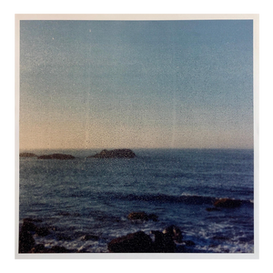 Peter C. Jones 1, Beach Through Screen, Large Format Photo 24X20 Color Photograph Beach House RI, 1999