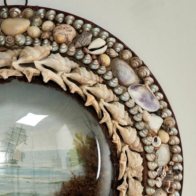 Blue Antique British Colonial Sailors Valentine With Seashells For Sale - Image 8 of 8