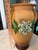 Tan Roseville Pottery Gardenia Floor Vase "690-16" Tan / Brown ca.1950 - Stunning! For Sale - Image 8 of 8