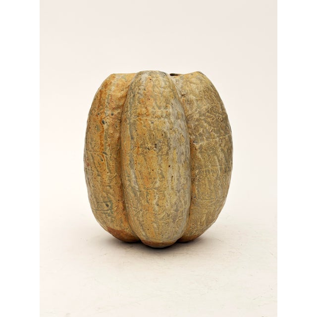 Organic Modern Large Pod Vase by Michael Imes For Sale - Image 12 of 13